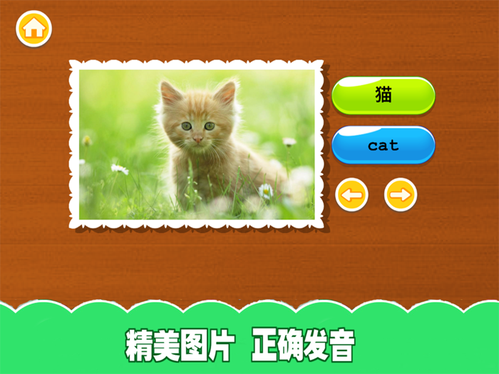 认动物-看图学英语大全