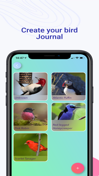 Birdify - Bird Identifierのおすすめ画像6