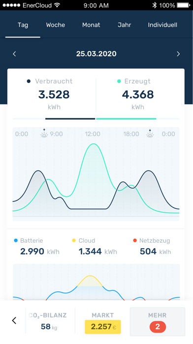 Pfalzwerke EnerCloud Screenshot