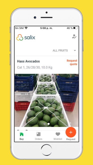 Salix Fruits Screenshot