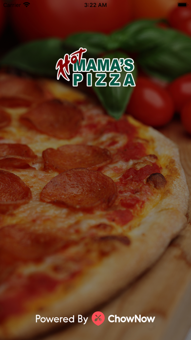 Hot Mama's Pizza Screenshot