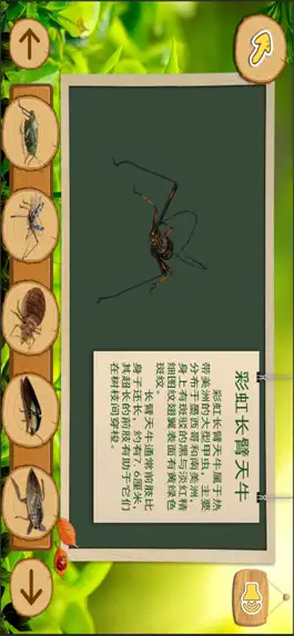 Game screenshot 昆虫世界大揭秘 mod apk