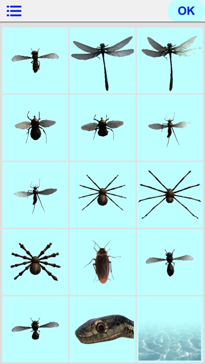 Insects Prank screenshot-4