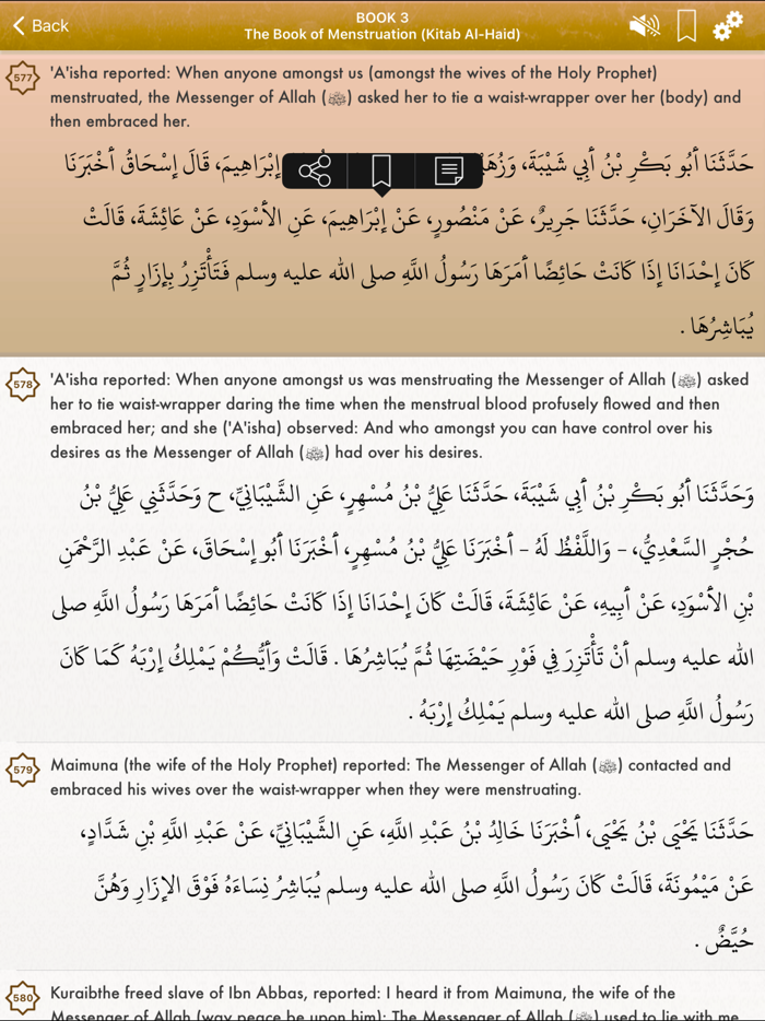 Sahih Muslim Audio English Pro