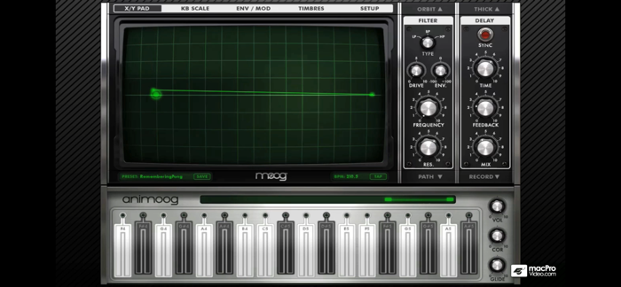 Explore Course for Animoog