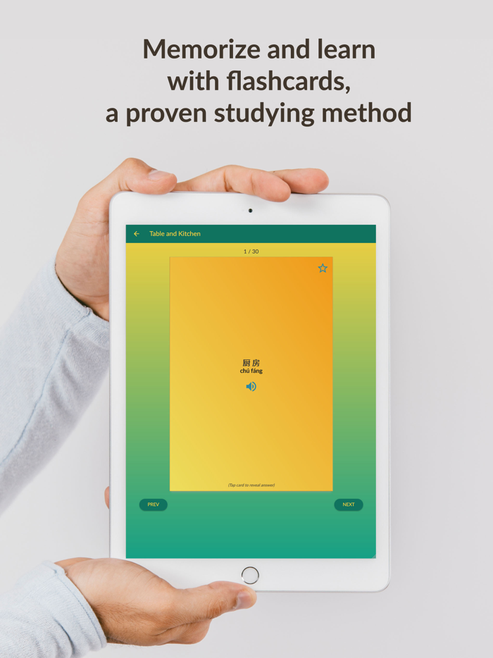 Chinese Vocab Trainer