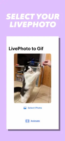 Game screenshot LivePhoto Animation Share mod apk
