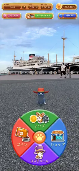 Game screenshot Pocket Pet hack