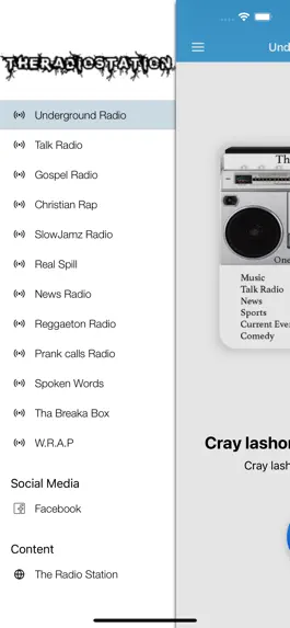 Game screenshot The Radio Station apk