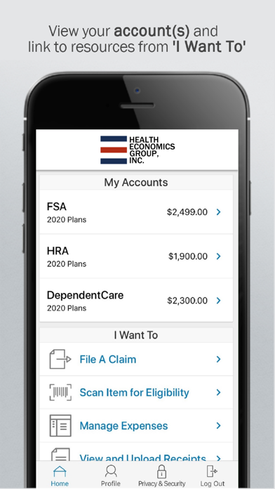 Health Economics Group, Inc. Screenshot