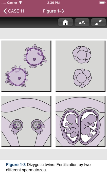 Neonatal-Perinatal Med. Review screenshot-5
