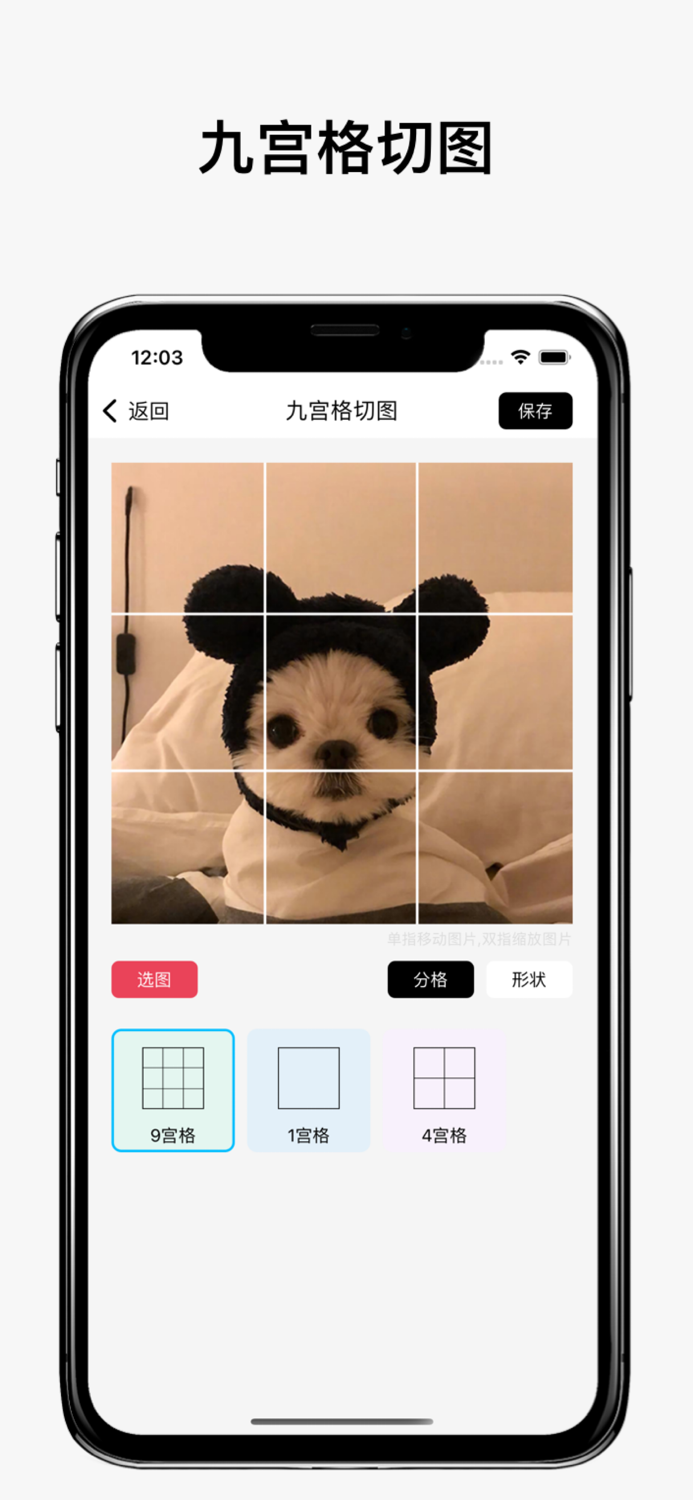 Nine Grid-9 Cut Photo For Ins