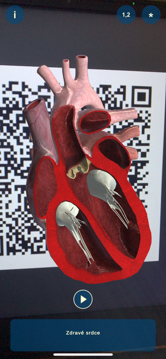 Heart AR