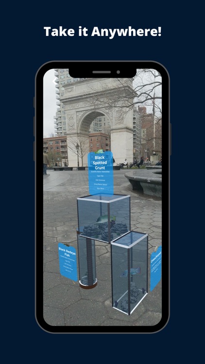 Deep Dive with Fish Aquarie