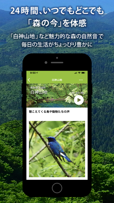 Forest Notes –ライブで聴く森の自然音のおすすめ画像1