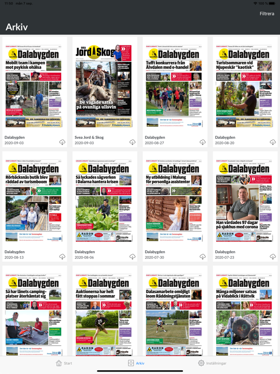 Screenshot #5 pour Dalabygden