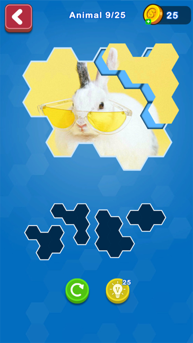 Screenshot #3 pour Hexa Puzzle Jigsaws