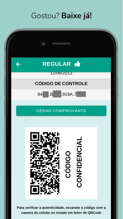 Consulta CPF - Dívidas e Score screenshot-3