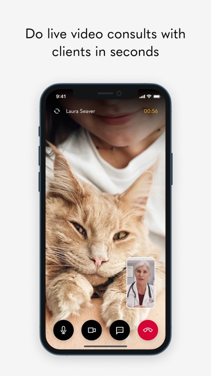 Airvet Doctor