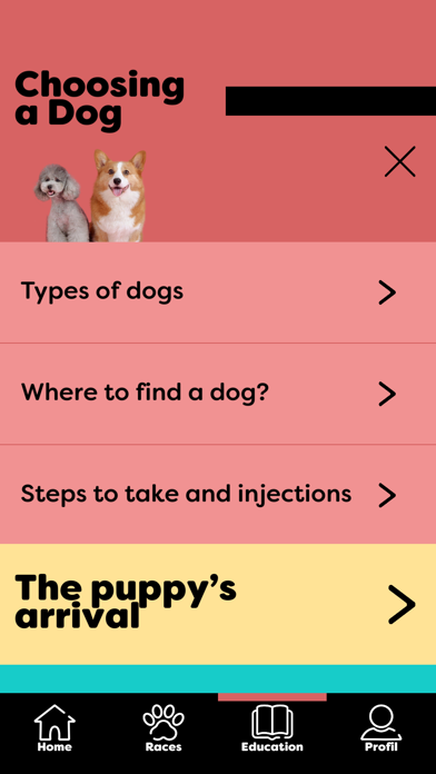 Dog of my dreams Screenshot