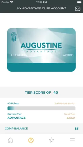 Game screenshot Augustine Casino mod apk