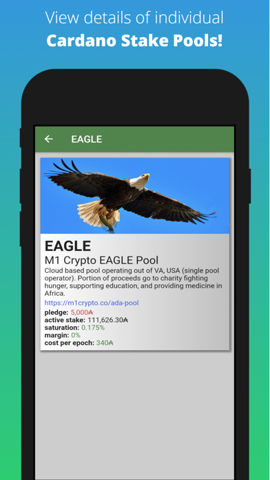 Pool Peek - ADA Stake Pools Screenshot