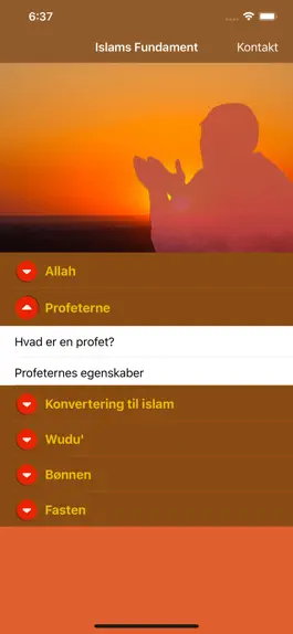 Game screenshot Islams Fundament apk