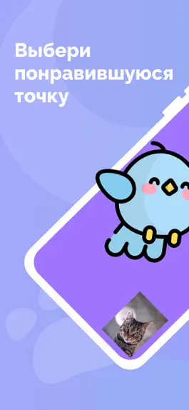 Game screenshot Cat's Cam:Игра для селфи кошек hack