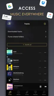 equalizer+ hd music player iphone screenshot 3