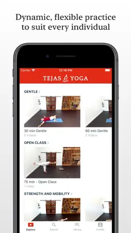 Game screenshot Tejas Yoga hack