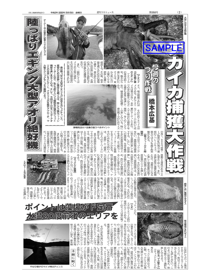 中部エリアの釣り専門新聞「週刊つりニュース 中部版」
