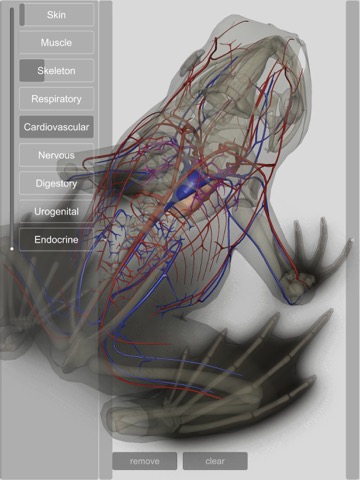 3D Frog Anatomyのおすすめ画像4