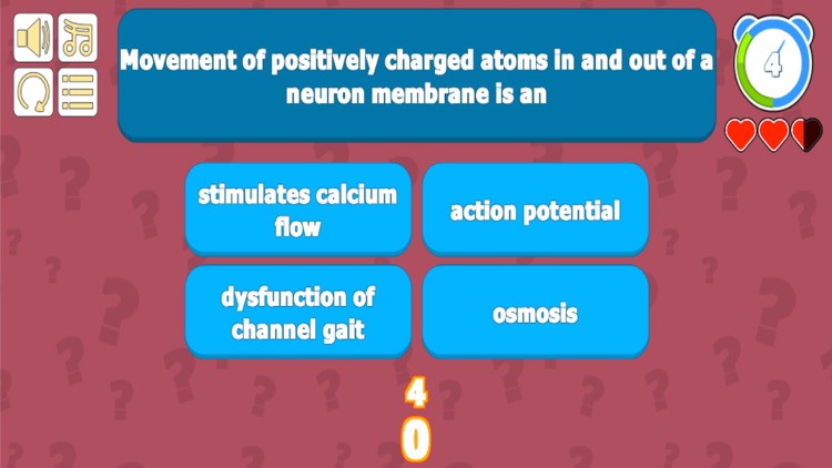 Urinary System Quiz - Anatomy