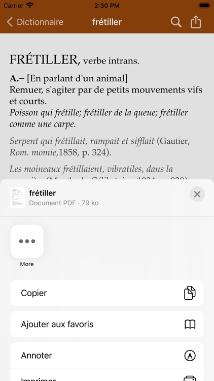 Dictionnaire screenshot-3