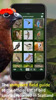 all birds scotland photo guide iphone screenshot 2