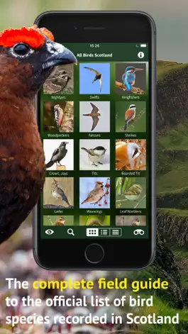 Game screenshot All Birds Scotland Photo Guide apk
