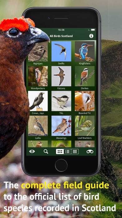 Screenshot #2 pour All Birds Scotland Photo Guide