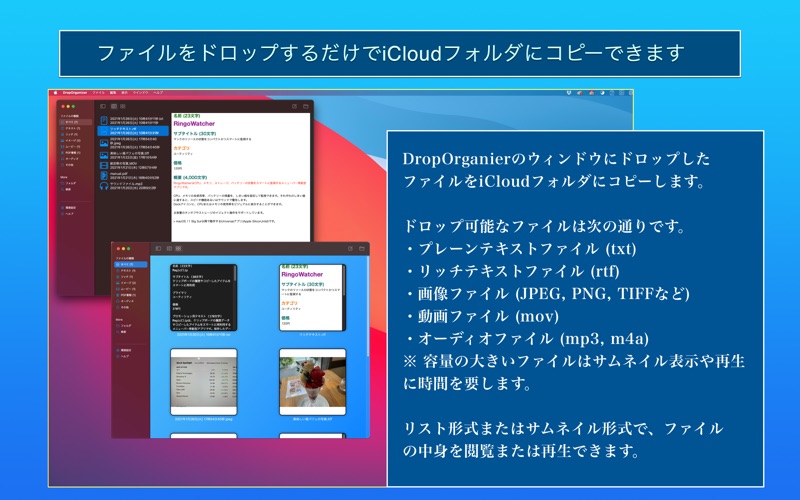 Screenshot #2 pour DropOrganizer