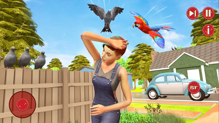 Home Parrot Sim Pet World Game