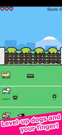 Game screenshot Play with Dogs - relaxing game hack