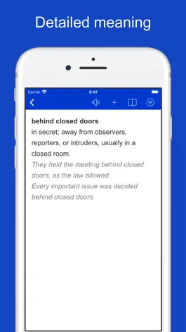 Game screenshot English Prepositional Idioms apk