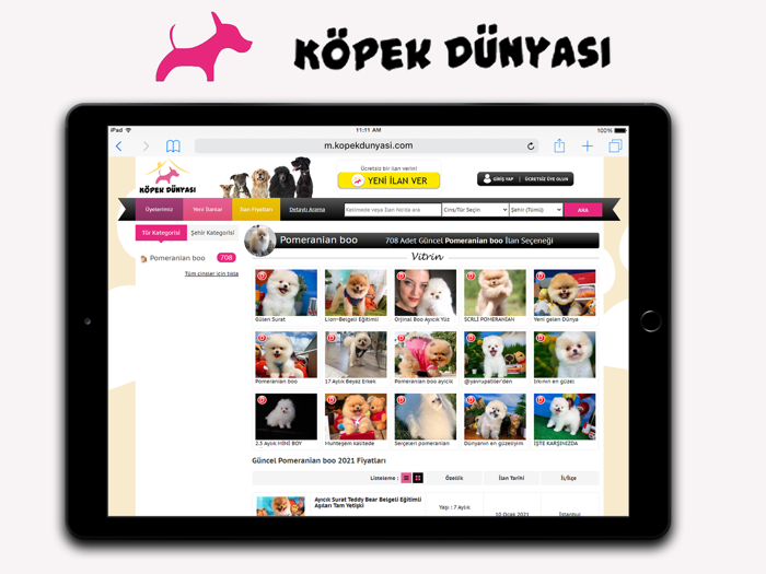 Köpek Dünyası Köpek İlanları