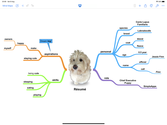 SimpleMind Pro - carte mentale SimpleMind Pro - carte mentale