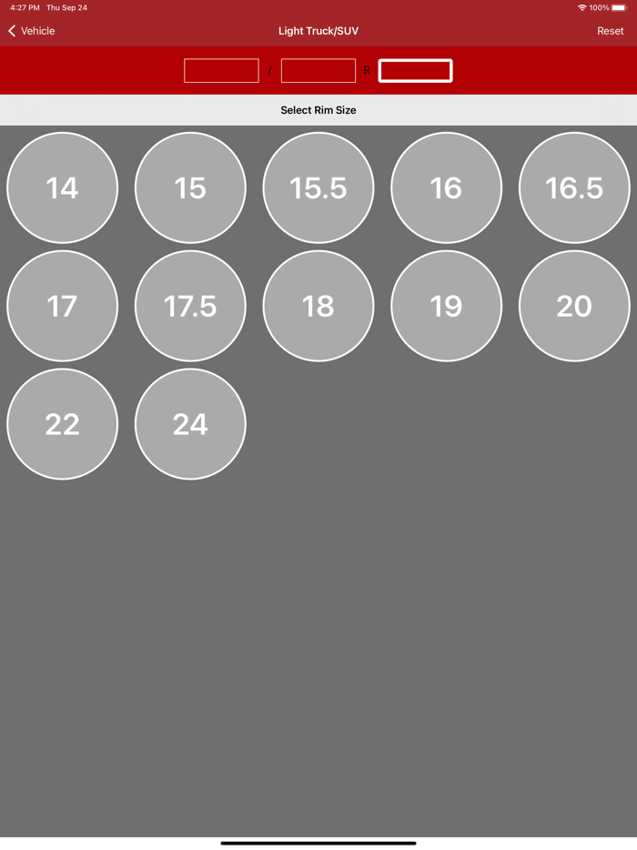 Rema Precision Balance
