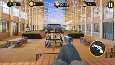 Grab Gun & Crack The Bottle Screenshot