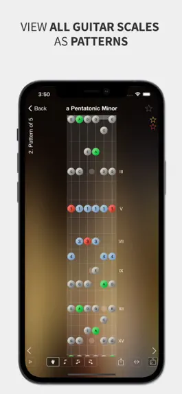 Game screenshot Star Scales Pro For Guitar apk