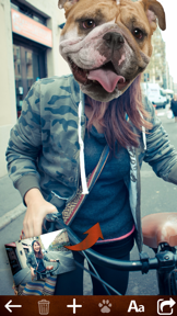 Animal Face Photo Booth screenshot