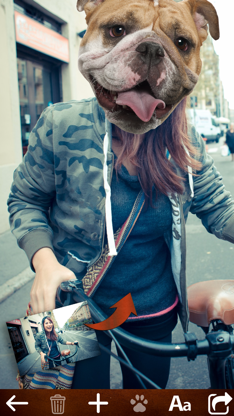 Animal Face Photo Booth screenshot 2