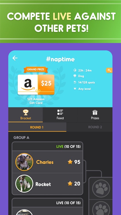 Pet Parade: Dogs & Cats Games screenshot-3