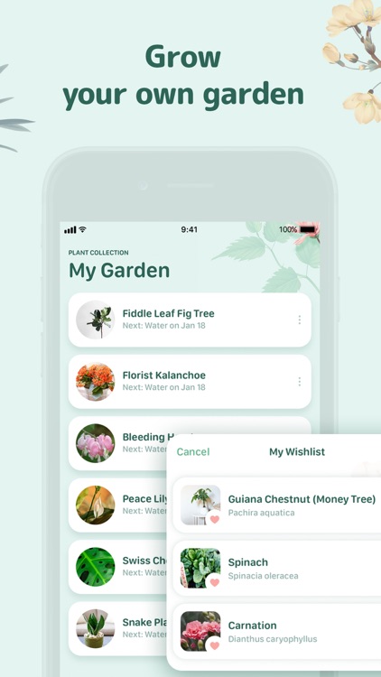 Blossom - Plant Identification screenshot-6